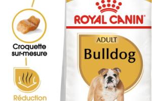 ROYAL CANIN Bulldog Adulte Croquettes Chien 12 kg