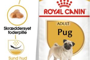 ROYAL CANIN Carlin Adulte Croquettes Chien 1,5 kg