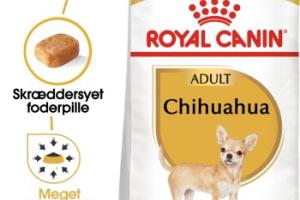 ROYAL CANIN Chihuahua Adulte Croquettes Chien 1,5 kg