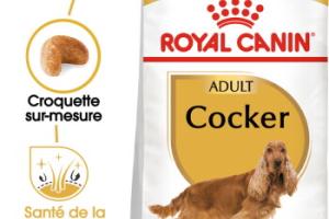 ROYAL CANIN Cocker Adulte Croquettes Chien 12 kg