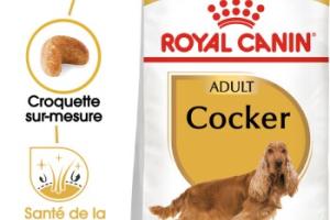ROYAL CANIN Cocker Adulte Croquettes Chien 3 kg ROYAL CANIN Cocker Adulte Croquettes Chien 3 kg