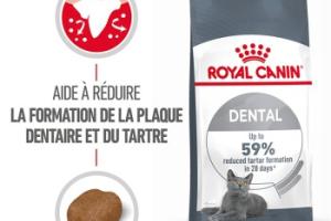 ROYAL CANIN Dental Care Croquettes Chat 400 g ROYAL CANIN Dental Care Croquettes Chat 400 g