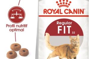 ROYAL CANIN Fit 32 Croquettes Chat 400 g