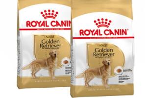 ROYAL CANIN Golden Retriever Adulte Croquettes Chien 2x12 kg