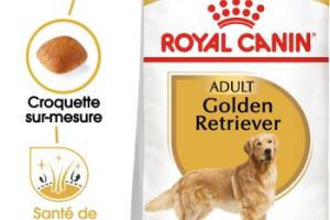 ROYAL CANIN Golden Retriever Adulte Croquettes Chien 3 kg