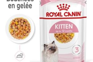 ROYAL CANIN Kitten en gelée 12x85 g