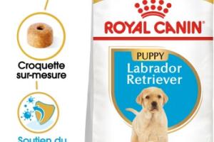 ROYAL CANIN Labrador Retriever Chiot Croquettes Chien 12 kg