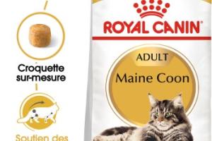 ROYAL CANIN Maine Coon Adulte Croquettes Chat 400 g