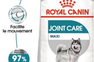 ROYAL CANIN Maxi Joint Care 10 kg
