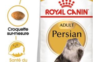 ROYAL CANIN Persan Adulte Croquettes Chat 10 kg