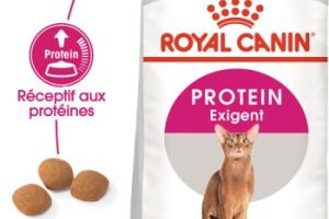 ROYAL CANIN Protein Exigent Croquettes Chat 10 kg
