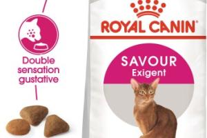 ROYAL CANIN Savour Exigent Croquettes Chat 4 kg