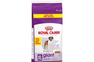 ROYAL CANIN SHN Giant Adult 15+3 kg ROYAL CANIN SHN Giant Adult 15+3 kg
