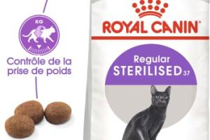 ROYAL CANIN Stérilisé 37 Croquettes Chat 4 kg