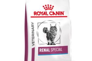 ROYAL CANIN Veterinary Renal Special Croquettes Chat 4 kg
