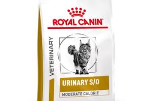 ROYAL CANIN Veterinary Urinary S/O Moderate Calorie 9 kg ROYAL CANIN Veterinary Urinary S/O Moderate Calorie 9 kg