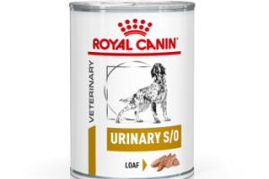 ROYAL CANIN Veterinary Urinary S/O Mousse 12 x 410 g