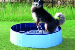 Trixie Piscine pour chien 1,2 m