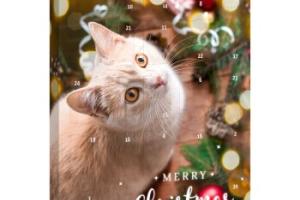 Vitakraft Calendrier de l’Avent pour chats
