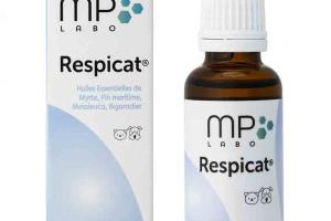 Respicat Respicat