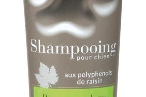 Shampooing pour chien tous types de pelage - Premium Shampooing pour chien tous types de pelage - Premium