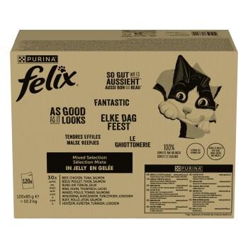 Felix Aussi bon que beau 120x85 g Variétés panachées 2 Felix Aussi bon que beau 120x85 g Variétés panachées 2