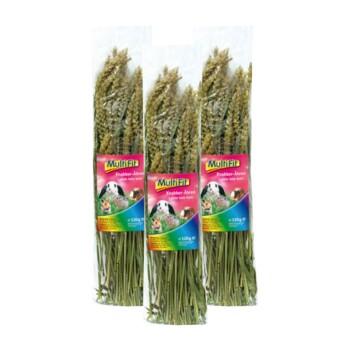 MultiFit snack pour rongueurs Épis de blé 3x120g MultiFit snack pour rongueurs Épis de blé 3x120g