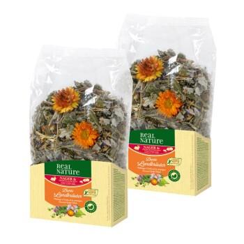 REAL NATURE Herbes 2 x 100 g Mélange d'herbes de la campagne REAL NATURE Herbes 2 x 100 g Mélange d'herbes de la campagne