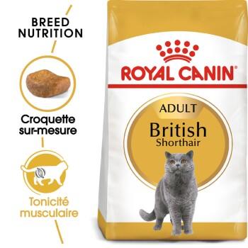 ROYAL CANIN British Shorthair Adulte Croquettes Chat 4 kg ROYAL CANIN British Shorthair Adulte Croquettes Chat 4 kg