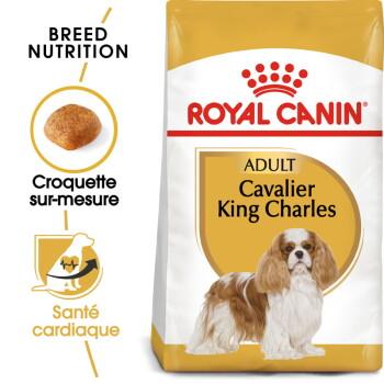 ROYAL CANIN Cavalier King Charles Adulte Croquettes Chien 7,5 kg