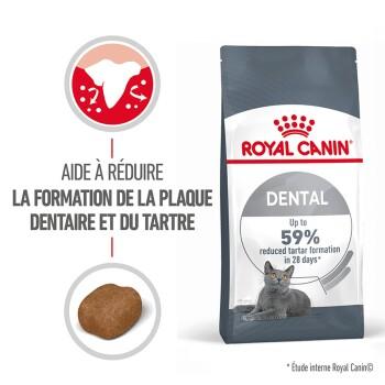 ROYAL CANIN Dental Care Croquettes Chat 1,5 kg ROYAL CANIN Dental Care Croquettes Chat 1,5 kg