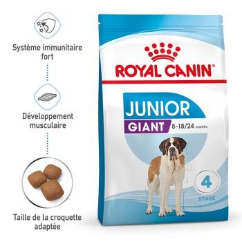 ROYAL CANIN Giant Junior Croquettes Chien 15 kg ROYAL CANIN Giant Junior Croquettes Chien 15 kg