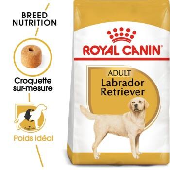ROYAL CANIN Labrador Retriever Adulte 3 kg