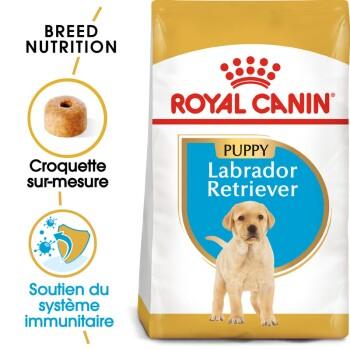 ROYAL CANIN Labrador Retriever Chiot Croquettes Chien 3 kg ROYAL CANIN Labrador Retriever Chiot Croquettes Chien 3 kg
