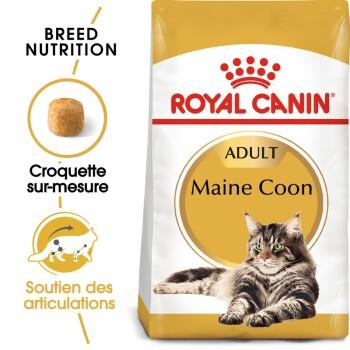 ROYAL CANIN Maine Coon Adulte Croquettes Chat 4 kg ROYAL CANIN Maine Coon Adulte Croquettes Chat 4 kg