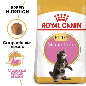 ROYAL CANIN Maine Coon Chaton Croquettes Chat 10 kg