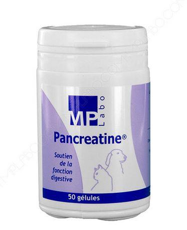 Pancréatine Pancréatine